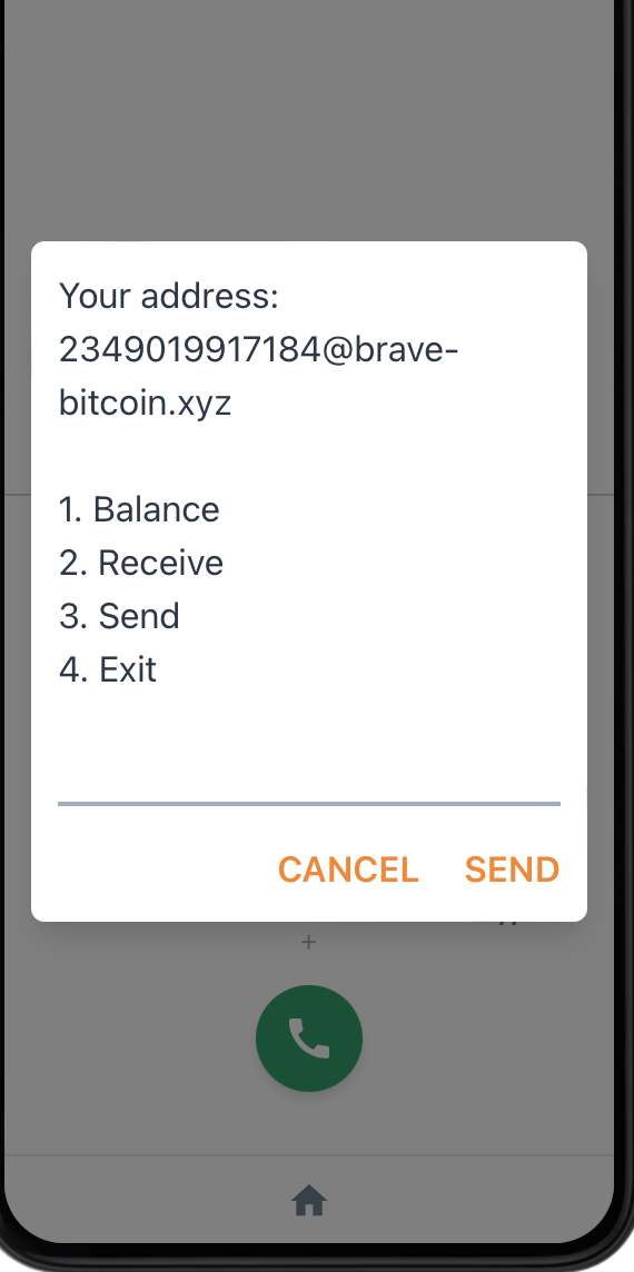 USSD Lightning demo 3
